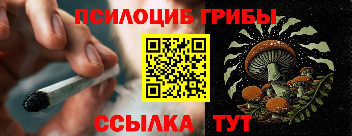 Псилоцибиновые грибы Psilocybine cubensis  Вход с VPN  Галлюциногенные грибы MAGIC MUSHROOMS  Зерноград 